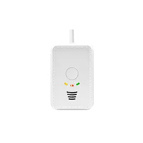 Kombinovaný detektor plynu Carbest LPG/CO, 12 V